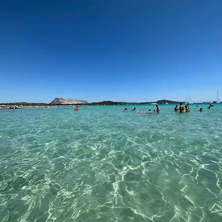 Casa Smeralda: Con Giardino E Vicino Al Mare Punta Molara